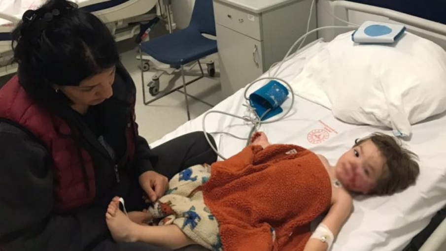 Pitbull, iki küçük kardeşe saldırdı: Köpeğin sahibi gözaltına alındı